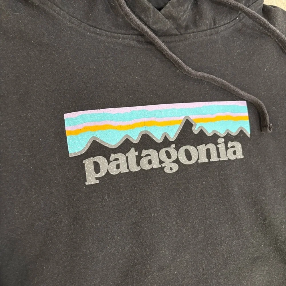Patagonia Women’s Pastrl Uprisal Logo Hoodie size XS - Picture 5 of 5